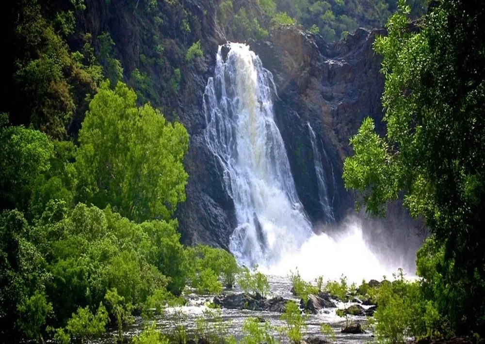 Mossman Gorge morning loop