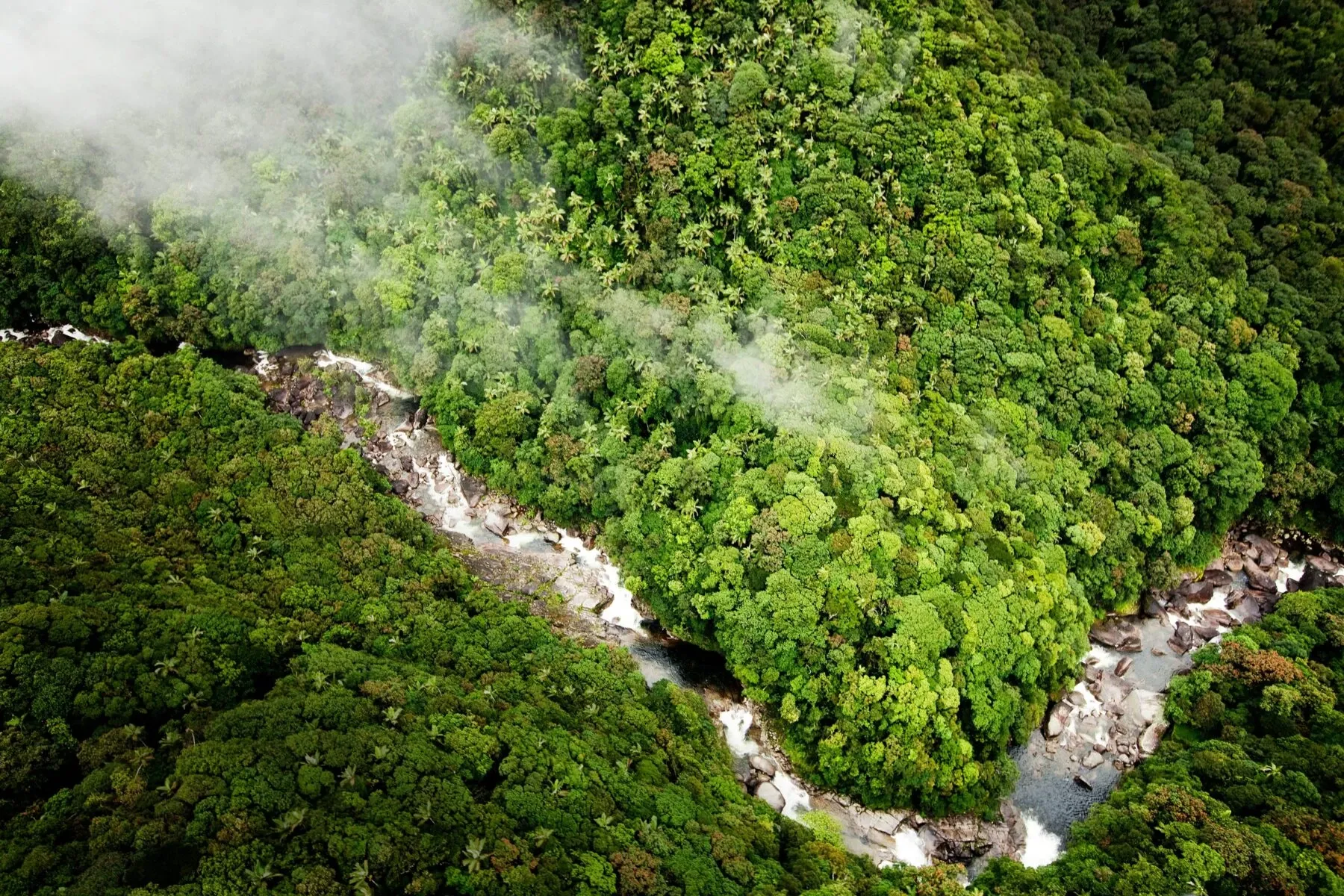 Mossman Gorge circuit walk