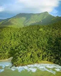 Cassowary etiquette guide