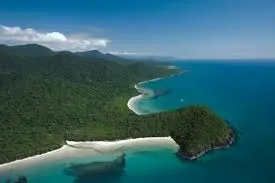 Cape Tribulation explorer